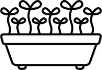 Sous lumière